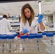 Degree in Pharmacy